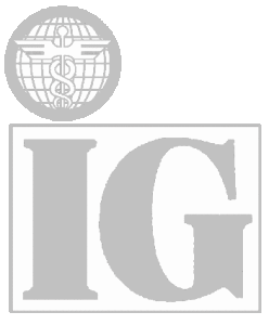 Logo IG 03 grau